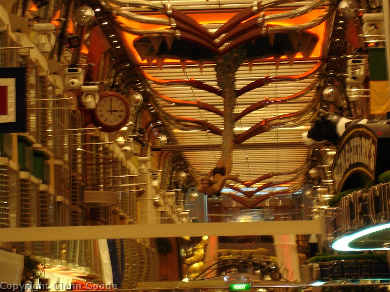 Freedom Cruise 1 2-24-08 018